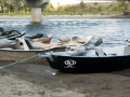 Ro-Banner