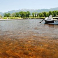 Davidson- 4 Rivers 2 032.jpg