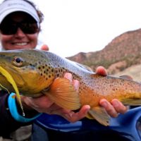 Green Brown 2 (2).jpg